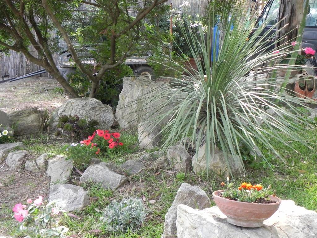 Camping Lacona Capoliveri  Extérieur photo